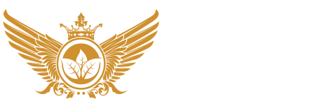 Your Cigar Box